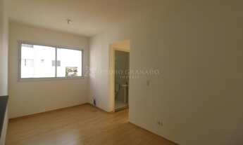 Imagem 4: Maringá - Apartamento - Jardim Alvorada