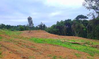 Imagem 7: ÚLTIMO SÍTIO COM ESCRITURA E PARCELAMENTO DIRETO