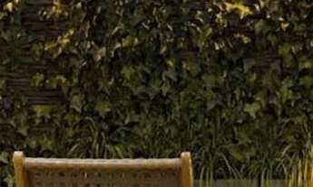 Imagem 4: Flat Localiza Proximo ao centrinho de Porto de Galinhas-Ipojuca/1 Quarto a 50 metros da pr