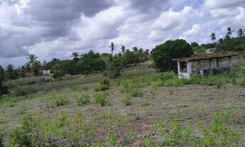 Imagem 5: Excelente Fazenda com 150 hectares na região de São Gonçalo do Amarante