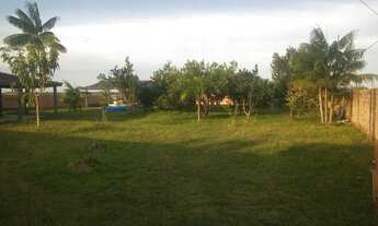 Imagem 5: Chácara no km 13 sentido Humaitá