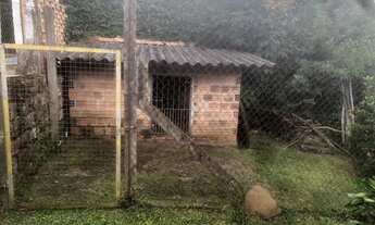 Imagem 4: Pandolfo Vende Sítio no Guaíba Country