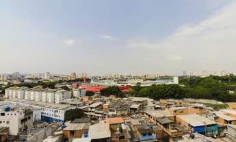 Imagem 5: Apartamento à Venda - Água Branca, 1 Quarto, 31 m2