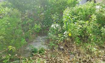 Imagem 5: Alugo casa para fins comerciais na Av, Visc.de Albuqurque -Madalena - Recife - PE