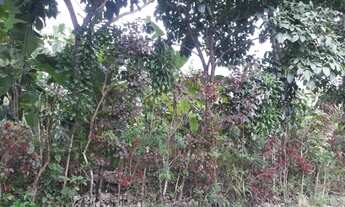 Imagem 5: Excelente Terreno urbano