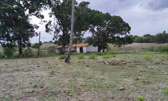 Imagem 10: Excelente Fazenda com 150 hectares na região de São Gonçalo do Amarante