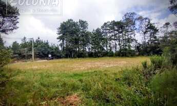 Imagem 4: Santo André - Terreno Padrão