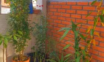 Imagem 4: Comércio no Baixada Santista?, 250m2, à 1km da Praia ?