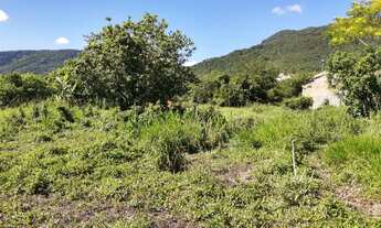 Imagem 4: Grande área no Ribeirão da Ilha em Florianópolis