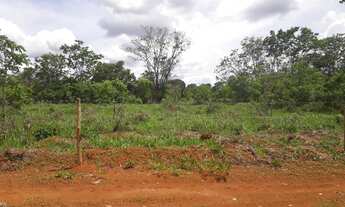 Imagem 3: FAZENDINHAS com água nos fundos