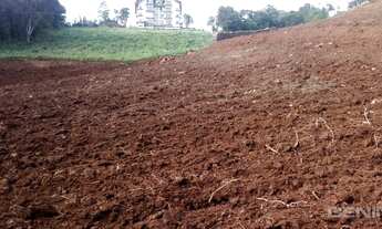 Imagem 4: GRAMADO - Terreno Padrão - CARAZAL