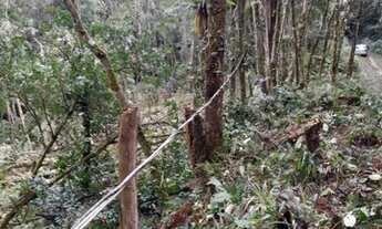 Imagem 2: Vende - se Sítio em Juquitiba