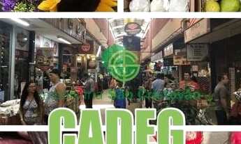 Imagem 4: RIO DE JANEIRO - Loja/Salão - BENFICA