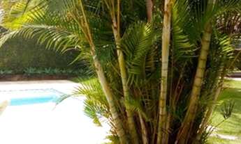 Imagem 1: Lindo apartamento no melhor ponto do Alto. Amplo e ensolarado