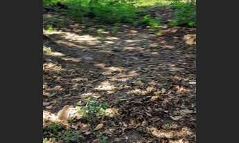 Imagem 7: Terreno à venda, 4000 m² por R$ 1.000.000 - Sapé I - Caçapava/SP