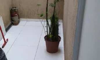 Imagem 4: Venda Residential / Condo Parada Inglesa São Paulo