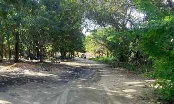 Imagem 5: Alugo chácara com casa com 3 quartos !