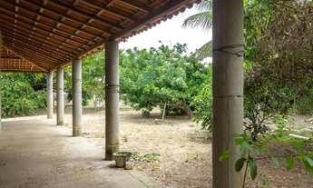 Imagem 6: Chácara em Feira de Santana