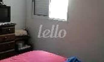 Imagem 6: Santo André - Casa Padrão - Vila Gilda