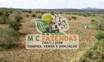 Imagem: Fazenda à Venda em Jeremoabo Potencial