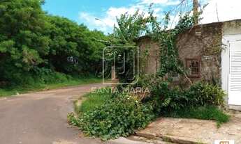 Imagem 2: Casa (térrea na rua) 3 dormitórios/suite, cozinha planejada