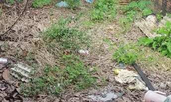 Imagem 2: Oportunidade Casa próx aeroporto