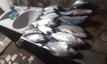 Imagem 4: Rancho de pesca em Três Marias (Rancho do Beto