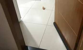 Imagem 6: Apartamento Apartamento com 1 dormitório