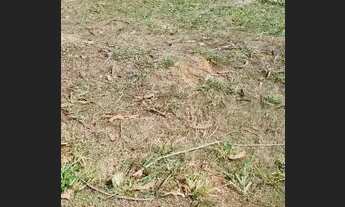 Imagem 2: Lote/Terreno Plano pra venda 290m² Condomínio Residencial Fogaça, Jacareí, bem localizado