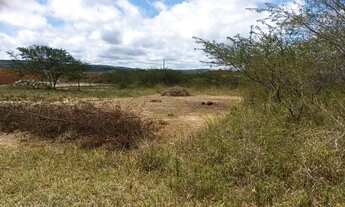 Imagem 7: Terreno bairro beija flor
