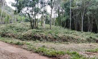 Imagem 6: Excelente terreno para sítio ou investimento