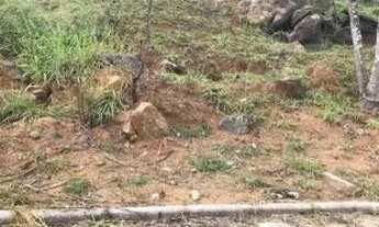 Imagem 3: CARANGOLA - Terreno Padrão