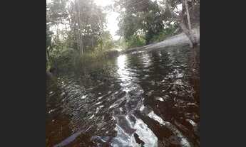 Imagem: Vende se terreno em mosqueiro