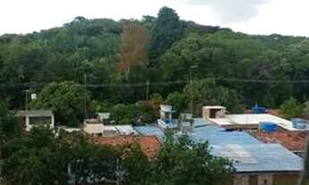 Imagem 6: Excelente apartamento 3 quartos 2 banheiros