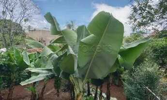 Imagem 5: Botucatu - Casa Padrão - Vila Maria