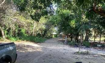 Imagem 4: Alugo chácara com casa com 3 quartos !