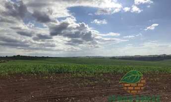 Imagem 3: Chácara à venda 1 Quarto, 774400M², Vila Ipiranga, Londrina - PR