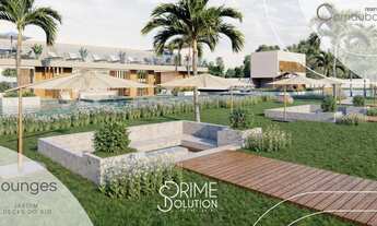 Imagem: Reserva Carnaubal em Barreirinhas