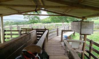 Imagem 4: Fazenda à venda possui 125 alqueires em Zona Rural - Cocalzinho de Goiás - GO