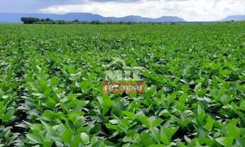 Imagem: Fazenda 1.065 alqueires (5.112 hectares)