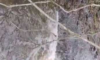 Imagem 7: Sítio bom para abacate ,café ,milho,gado