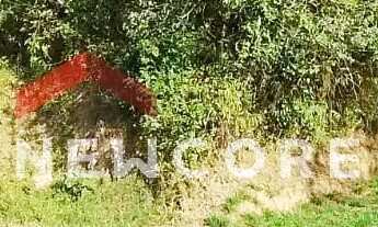 Imagem 5: Lote em Rua Almerinda dos Santos - Ponte Seca - Ribeirão Pires/SP