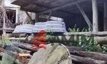 Imagem 7: OportunidadeÚNICA!!!!!