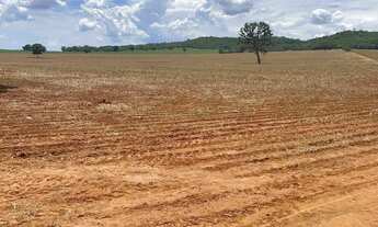 Imagem: Fazenda para plantio de soja, 43 alqueires