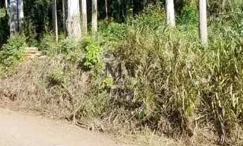 Imagem 6: Área de terra bairro Linha Imperial, Nova Petrópolis. RS REF: 437