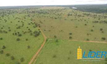 Imagem 5: Fazenda à venda, AREA RURAL POSSE-GO - Posse/GO