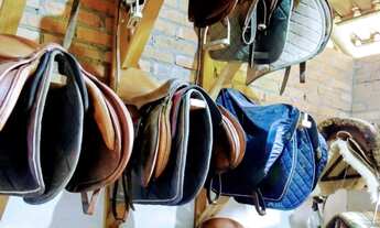 Imagem 5: Haras Cabanha Chácara com venda por R$1.500.000