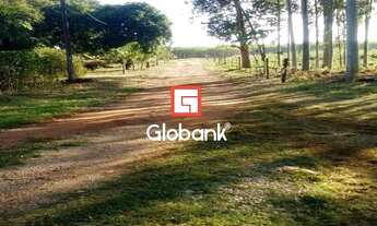 Imagem 6: Fazenda/Sítio/Chácara em Ribeirão Preto, no bairro Todos os Santos, à venda