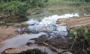 Imagem 4: FAZ. EM ARAGUAPAZ - GO - PROP.M.A. CÓD 14004