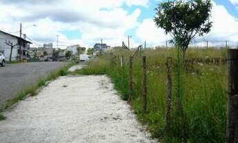 Imagem 2: Terreno Cinqüentenário Caxias do Sul